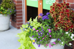 Front-Door-Photo-2